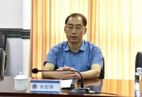 上上策 张宏璞，任上被查